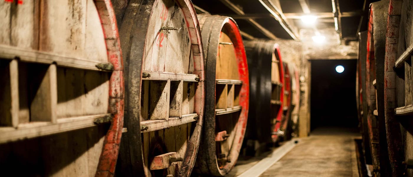 Vignes du Domaine de Garanches s'étendant au pied du Mont Brouilly à Odenas
